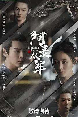 阿麦从军 海报