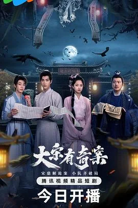 大宋有奇案 海报