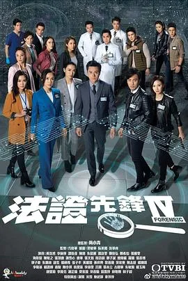 法证先锋4 海报