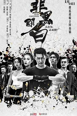 非黑即白 海报