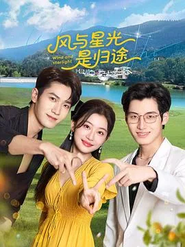 风与星光是归途 海报