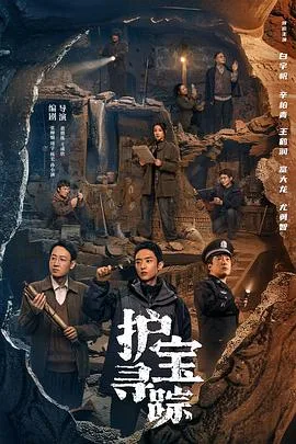 护宝寻踪 海报