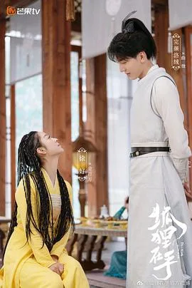 狐狸在手 海报