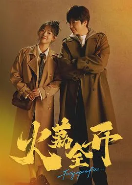 火荔全开 海报
