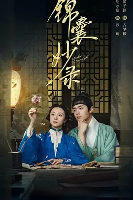 锦囊妙录 海报