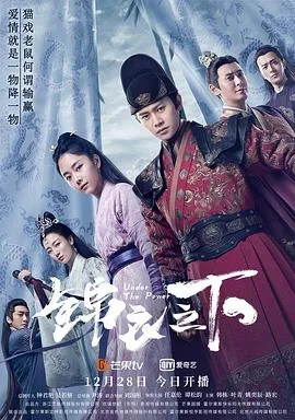锦衣之下 海报