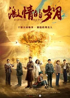 激情的岁月 海报