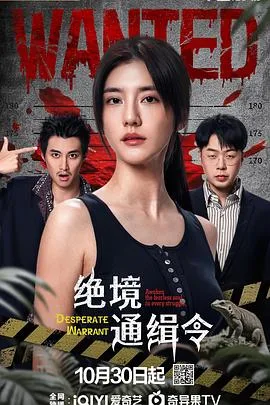绝境通缉令 海报