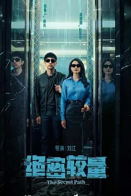 绝密较量 海报