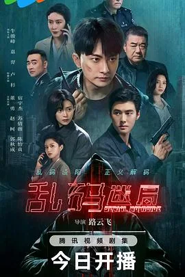 乱码迷局 海报