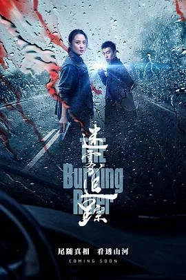 迷雾追踪 海报