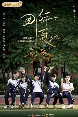 那年夏天的秘密 海报