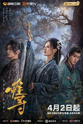 难寻 海报