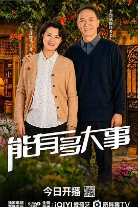 能有多大事 海报