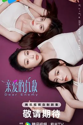 亲爱的仇敌 海报
