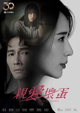 亲爱坏蛋 海报