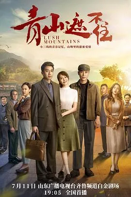 青山遮不住 海报