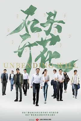 石头开花 海报