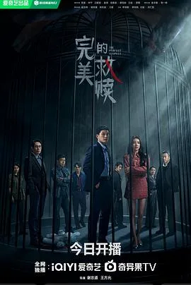 完美的救赎 海报