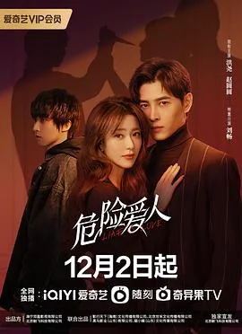 危险爱人 海报
