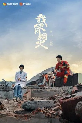 我的人间烟火 海报