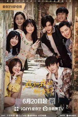 我和我的朋友们 海报