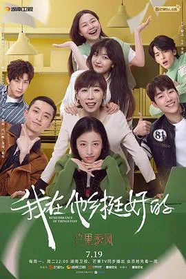 我在他乡挺好的 海报