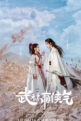 武林有侠气 海报
