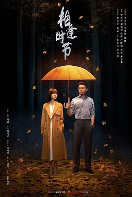 相逢时节 海报