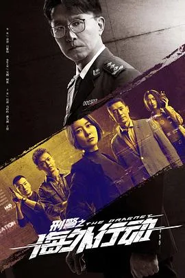 刑警之海外行动 海报