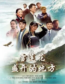 雪莲花盛开的地方 海报