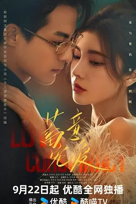 蓄意宠爱 海报
