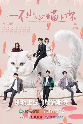 一不小心喵上你 海报