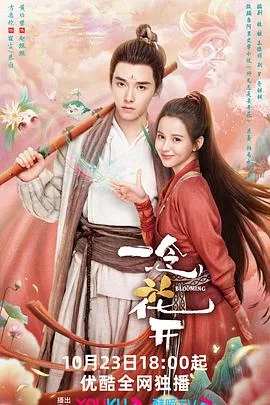 一念花开 海报