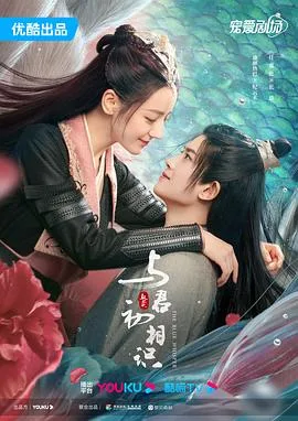 与君初相识 海报