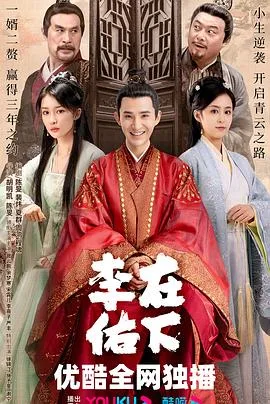 在下李佑 海报