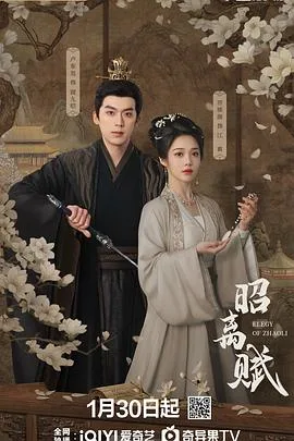 昭离赋 海报