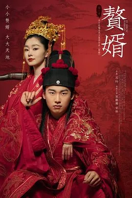 赘婿 海报